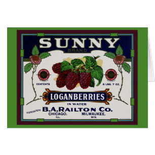 Sunny Loganberry Fruit