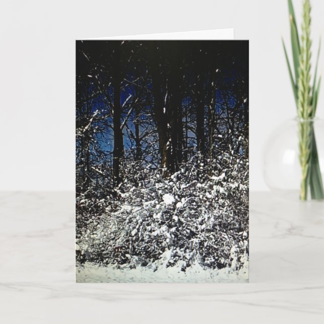 Sunny Snowy Navidades con tarjeta marco 5x7 (Anverso)