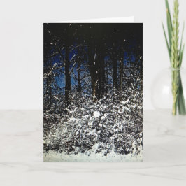Sunny Snowy Navidades con tarjeta marco 5x7