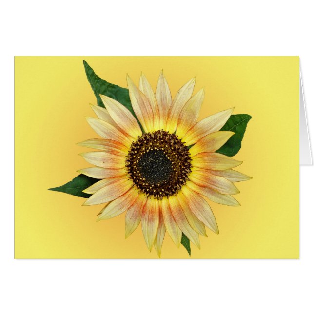 Sunny Sunflower (Anverso (Horizontal))
