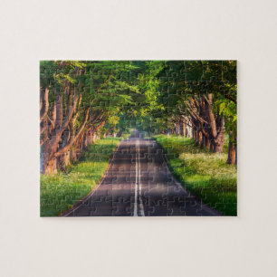 Sunny Trees Road Jigsaw Puzzle