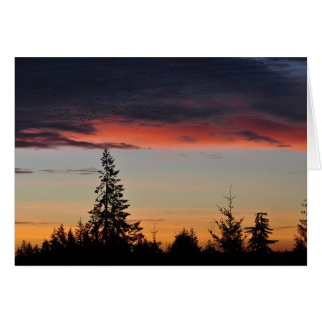 Sunrise and Trees (Anverso (Horizontal))