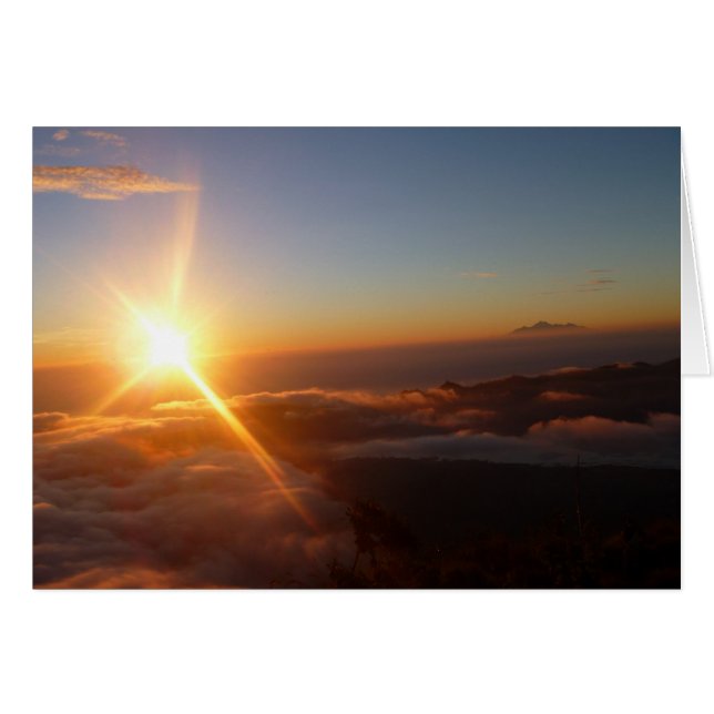 Sunrise Joy (Anverso (Horizontal))