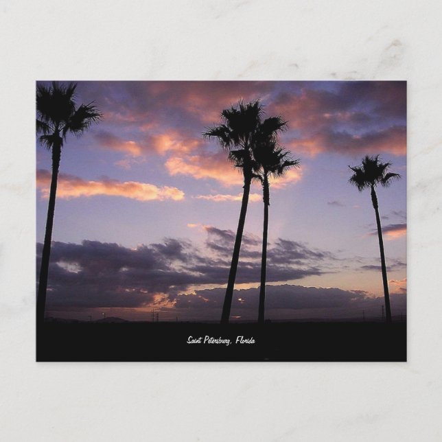 Sunrise, San Petersburgo, postal de Florida (Anverso)
