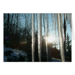 Sunrise Through Icicles Winter Nature Photography
