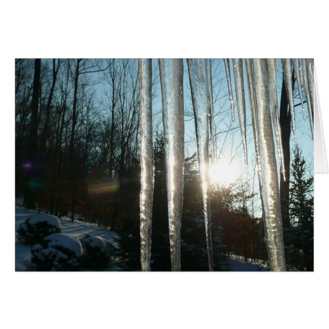 Sunrise Through Icicles Winter Nature Photography (Anverso (Horizontal))