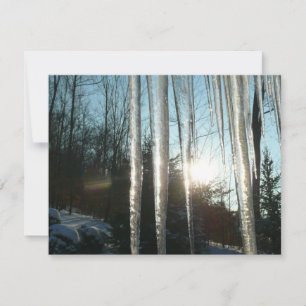 Sunrise Through Icicles Winter Nature Photography