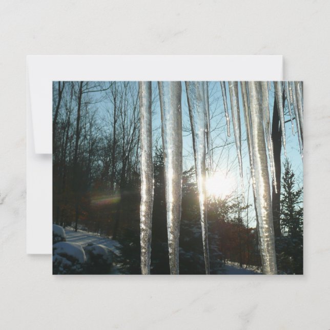 Sunrise Through Icicles Winter Nature Photography (Anverso)
