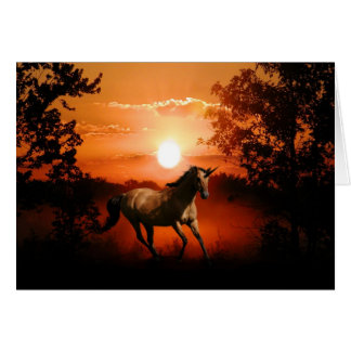 Sunrise unicorn