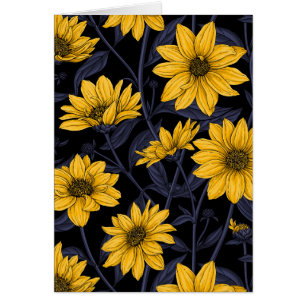 Sunroot, girasol salvaje en amarillo y azul