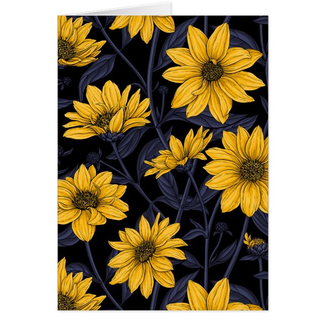 Sunroot, girasol salvaje en amarillo y azul (Frente)