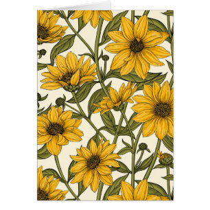 Sunroot, girasol salvaje en blanco roto