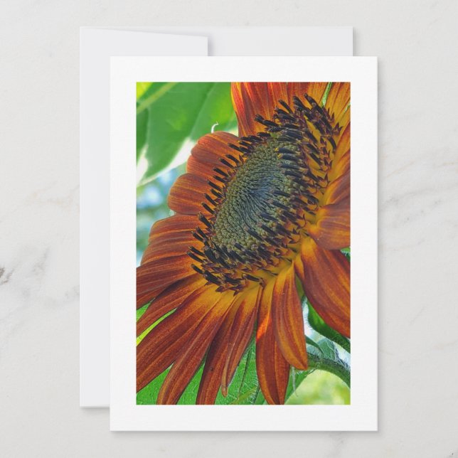 Sunset Bloom Elegance: Invitación Personalizado (Anverso)