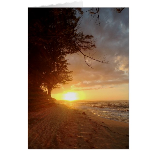 Sunset de Hawái (Frente)