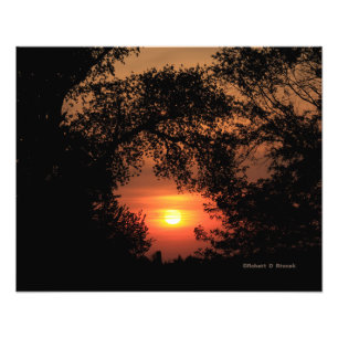 Sunset de Kansas con ampliación de foto de árbol