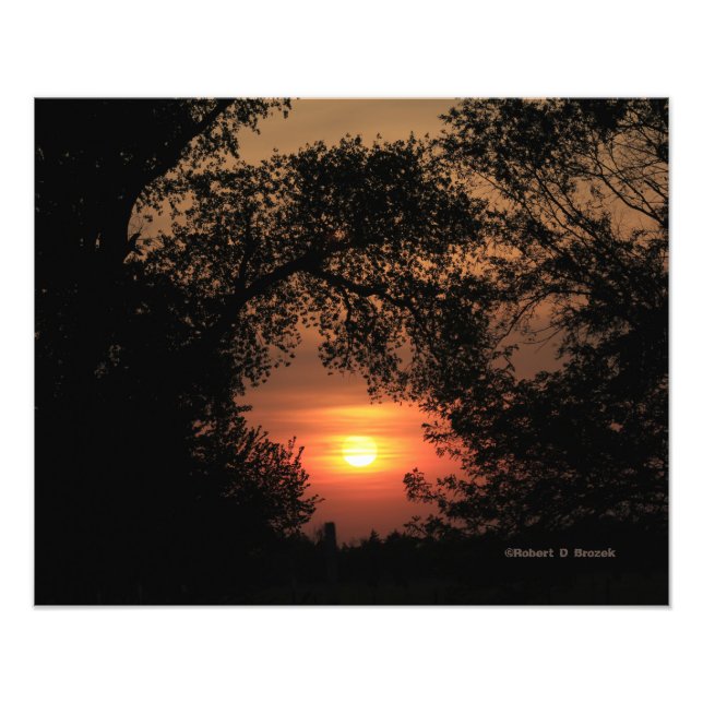 Sunset de Kansas con ampliación de foto de árbol (Frente)