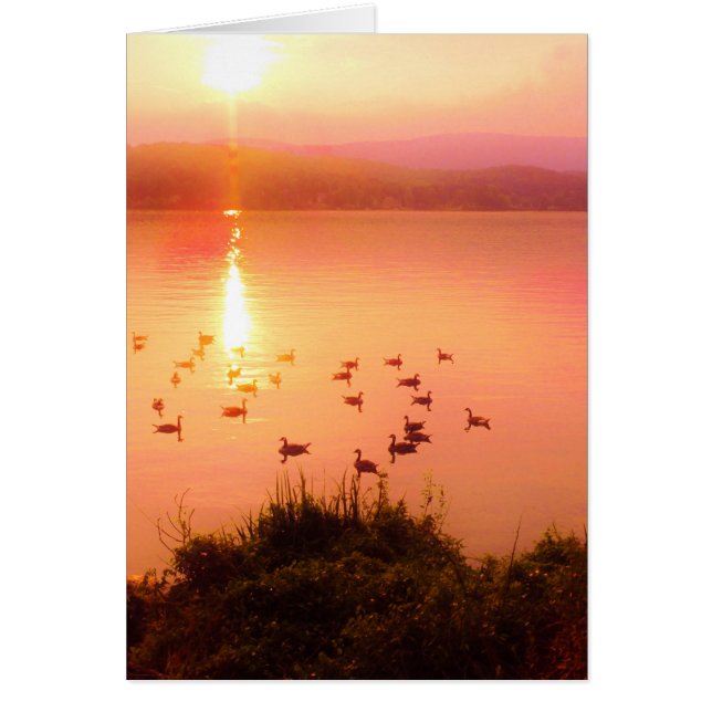 Sunset de lago rosa y melocotón (Frente)