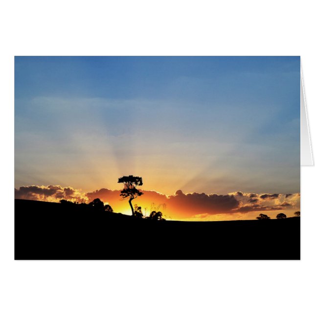 Sunset Farm Londrina (Anverso (Horizontal))