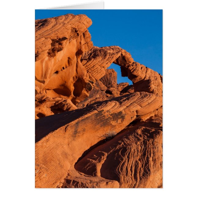 Sunset Inferno (Frente)