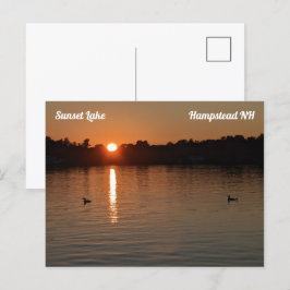Sunset Lake Loons en la postal Sunset