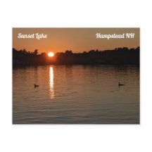 Sunset Lake Loons en la postal Sunset