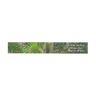 Sunset Lit Palm Fronds Tropical