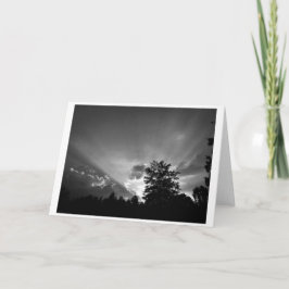 Sunset / Noir, tarjeta