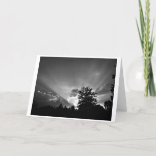 Sunset / Noir, tarjeta