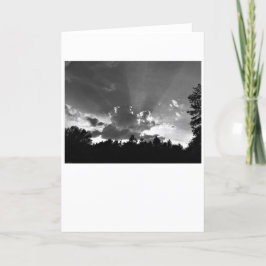 Sunset / Noir, tarjeta