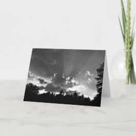 Sunset / Noir, tarjeta