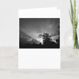 Sunset / Noir, tarjeta