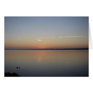Sunshine