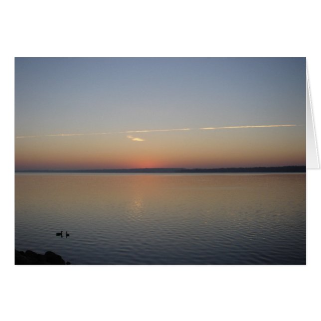 Sunshine (Anverso (Horizontal))