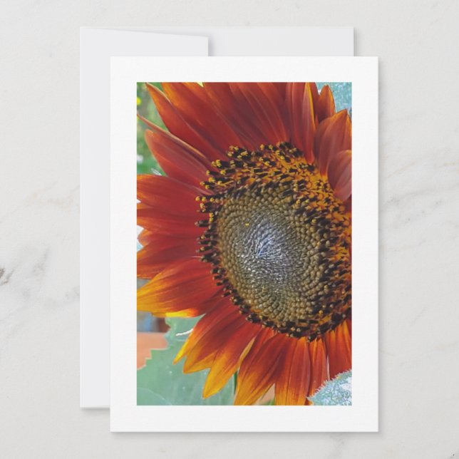 Sunshine Blossom: Invitación Personalizado (Anverso)