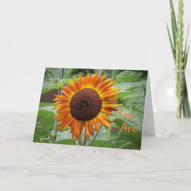 Sunshine De Mi Tarjeta De Saludo De Girasol De Vid (Anverso)