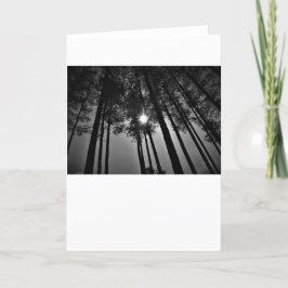 Sunshine / Noir, tarjeta