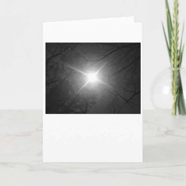 Sunshine - Noir, tarjeta (Anverso)