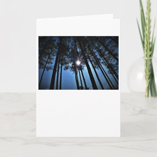 Sunshine, tarjeta (Anverso)