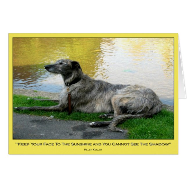 Sunshine, tarjeta, en blanco dentro (Anverso (Horizontal))
