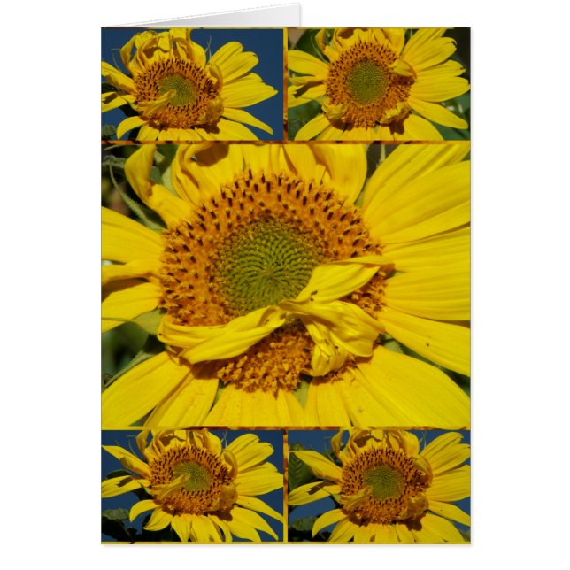 Sunshiney Day (Frente)