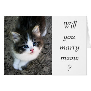 SUPER CUTE Customizable Wedding Proposal