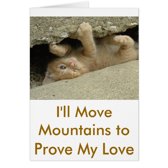 Super Hero Kitty Cat (Frente)