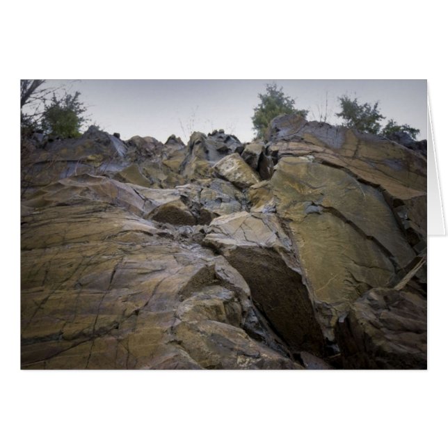 superar obstáculos (Anverso (Horizontal))