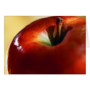 SUPREMACÍA FEMENINA COMENZADA CON VÍSPERA