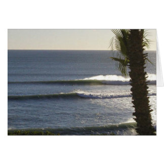 Surf de México