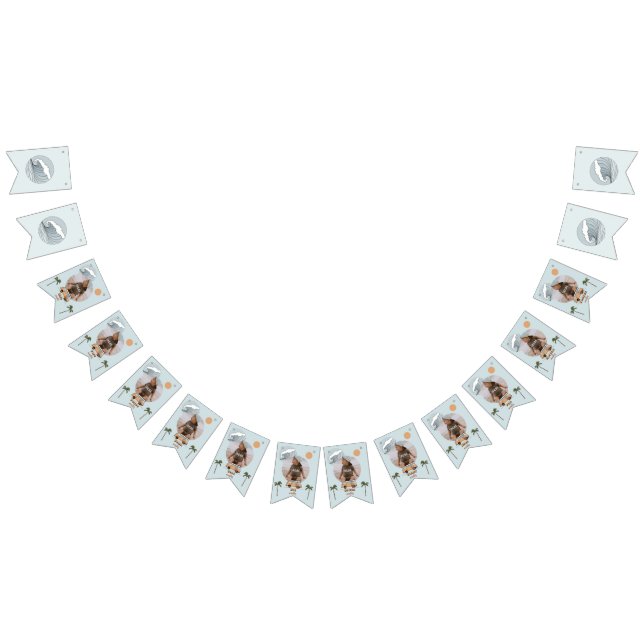 Surf es la bandera grande de los primeros cumpleañ (Todo)