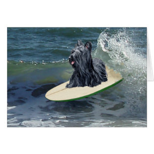 Surfando Skye Terrier