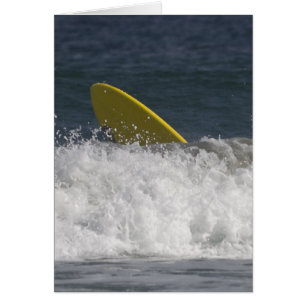 ¡Surf's Up!