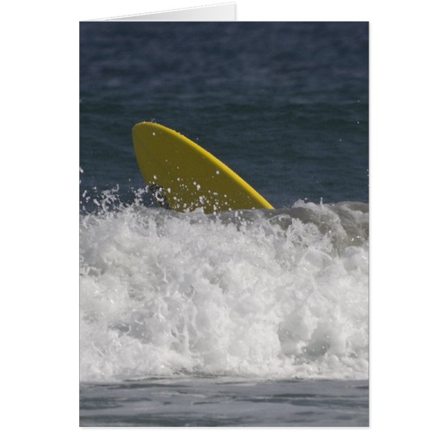 ¡Surf's Up! (Frente)