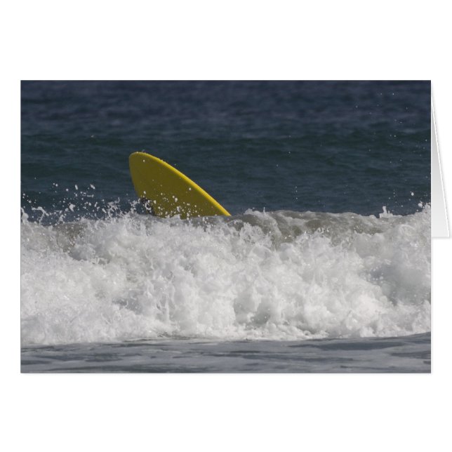 ¡Surf's Up! (Anverso (Horizontal))